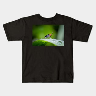 Unique and organic photo of a leaf beetle crossing a slippery dew covered leaf Kids T-Shirt